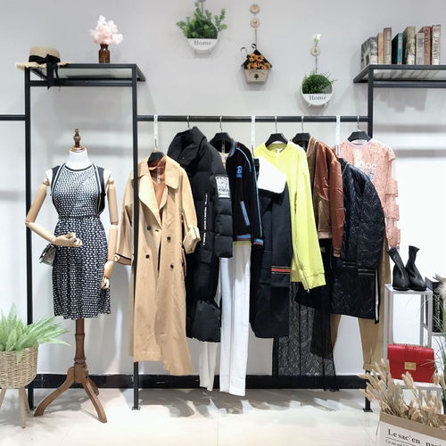 大碼女裝新時(shí)尚，批發(fā)商機(jī)盡顯優(yōu)雅與舒適