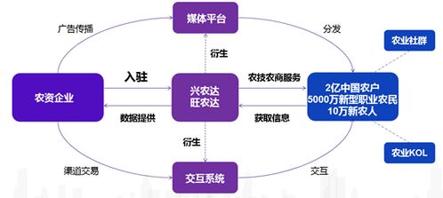 興農(nóng)達(dá)運(yùn)營邏輯與信息系統(tǒng)運(yùn)行維護(hù)服務(wù)的深度融合